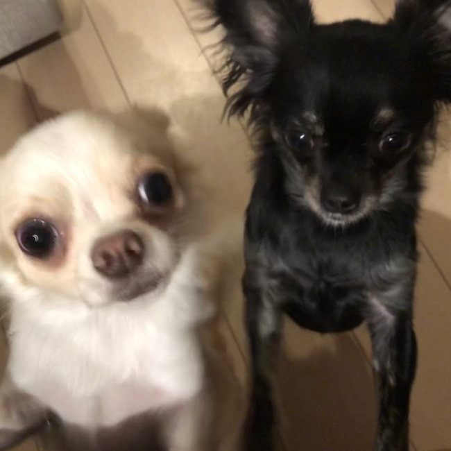 とももかんのカバー写真