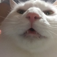 しろ