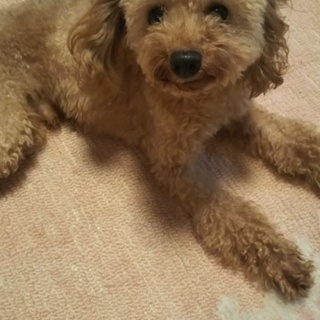 素敵なご縁を頂きました