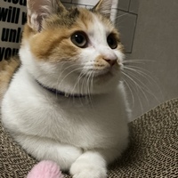 みあ