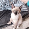 あゆみんんん