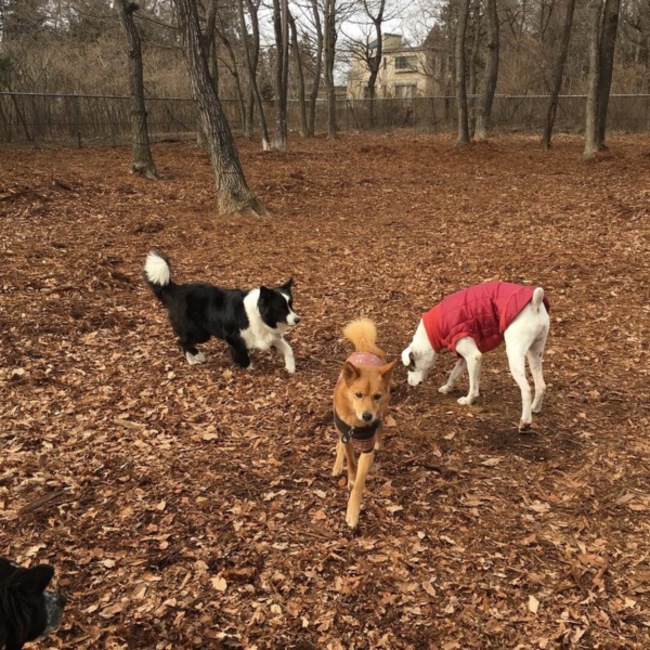 suna1102のカバー写真