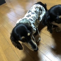 クウ