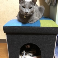 ソラ