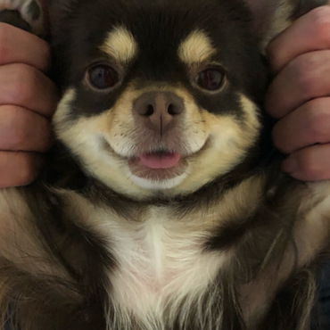 の写真