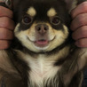 の写真