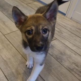 天真爛漫なジェ～ン♪