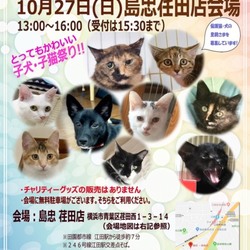 【おーあみ避難所】島忠荏田店 里親会開催!