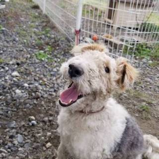 引っ越しのため　ワクチンは毎年摂取してます！