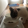 お迎え後、はじめてのお昼ご飯