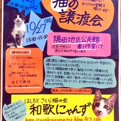 猫の譲渡会in橋本市♡はしもとさくら猫の会