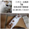 元飼い主が入院