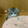 長男(2番目)