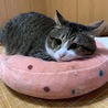 次男(3番目)