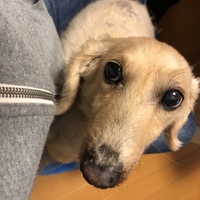 たけじろう
