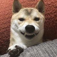 テツ