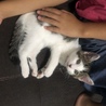 娘の横が特等席