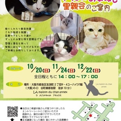 『保護猫のずっとのお家探し里親会』