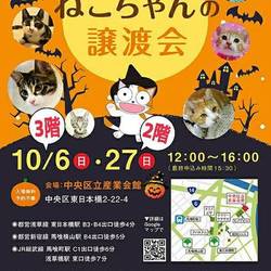 ねこざんまい譲渡会@東日本橋