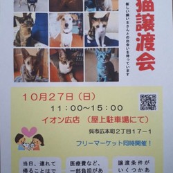 保護犬猫の譲渡会