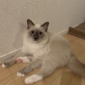 元気いっぱいの男の子です