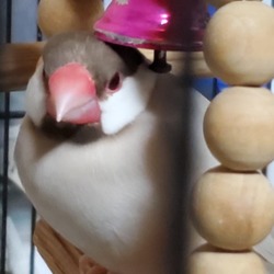 「ずいぶん間があきました」サムネイル2