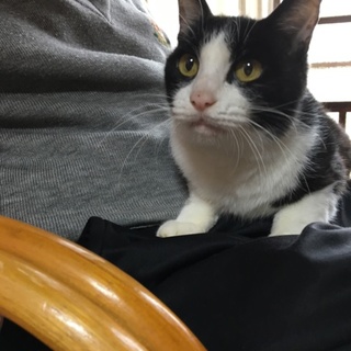 優しいさっちゃん