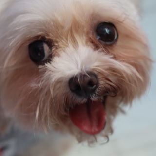 天真爛漫♪ニコニコ笑顔のゆきみちゃん