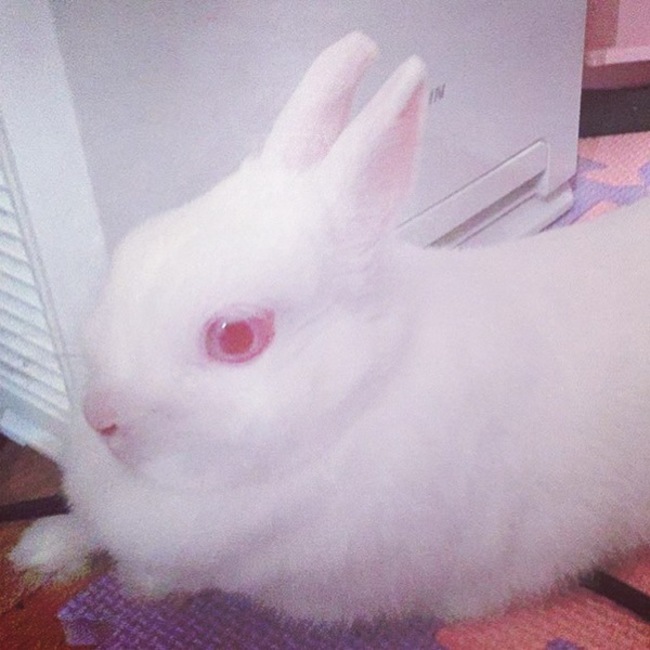 すずね、のカバー写真