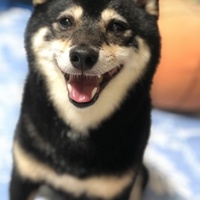 アブー
