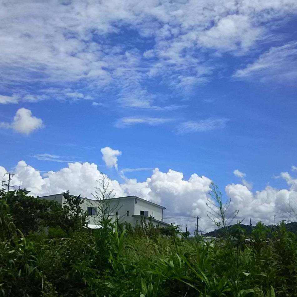 五十六（いそろく）のカバー写真