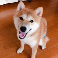 アル