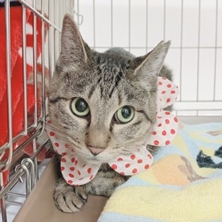 穏やかなママ♪愛華ちゃん☆