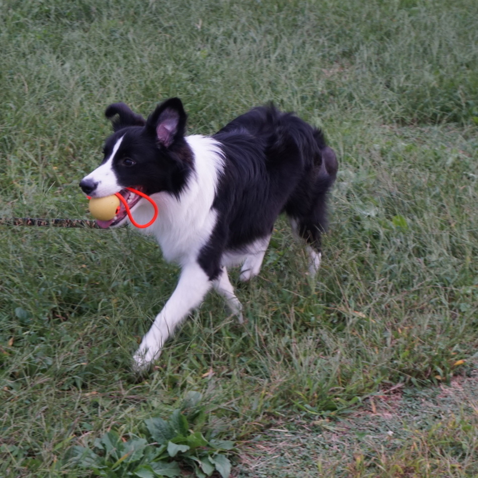 LIAN（りあん）のカバー写真