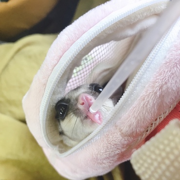 りんごジュース
