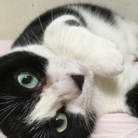 みかん