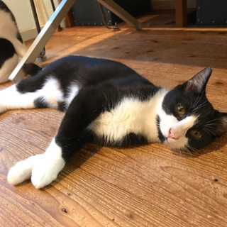 ありがとうございました