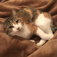 くみこ