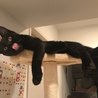 めぐみ