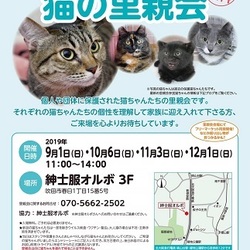 みやちか　猫の里親会