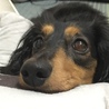 お願いします！ サムネイル5