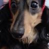 お願いします！ サムネイル7