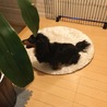 お願いします！ サムネイル6