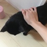 なでなで
