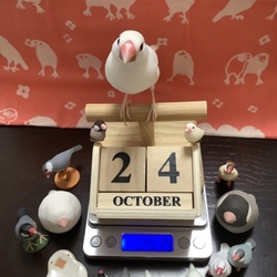 祝・文鳥の日