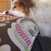 パール
