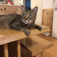 そら
