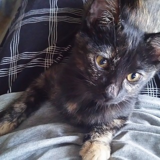 おっとり、甘えん坊な女の子