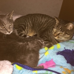 「明け方の微笑み」サムネイル1