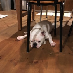 「調子が良くなってきたよ」サムネイル1